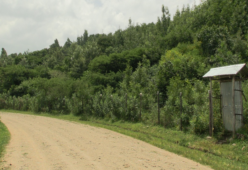 Environmental conservation